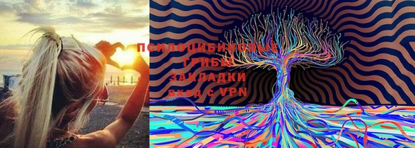 герыч Балахна