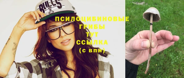 кокаин колумбия Белокуриха